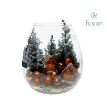 image COMPO PLANTES VARIEES NOEL