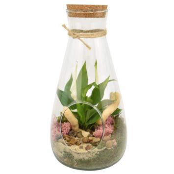 image VERRERIE DINAN 20