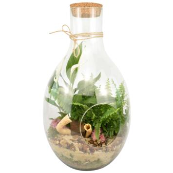 image VERRERIE BROCELIANDE 20