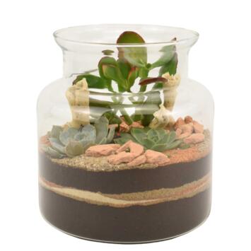 image VERRERIE SAHARA 20