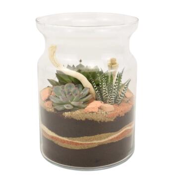 image VERRERIE SAHARA 20