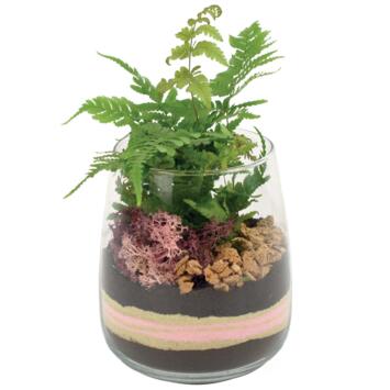 image VERRERIE GRENAT 20