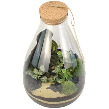 image TERRARIUM LUTH 20