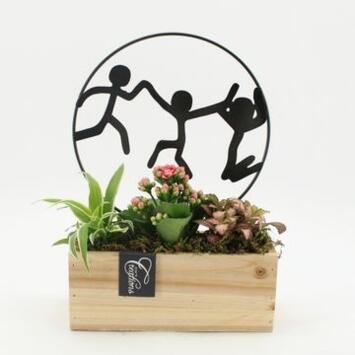 image COMPO 3 PLANTES BAC BOIS