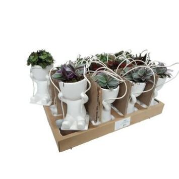 image PLANTE VERTE CERAM PERSONNAGE SUSP