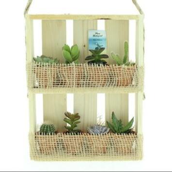 image SUCCULENTE X8 CADRE BOIS SUSP