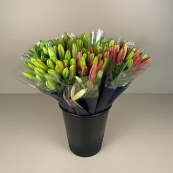 image BOUQUET LILIUM VARIE 3 TIGES