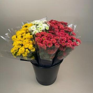 image BOUQUET SANTINI 5 TIGES