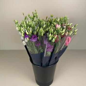 image BOUQUET LYSIANTHUS 3 TIGES