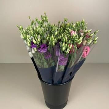 image BOUQUET LYSIANTHUS 3 TIGES