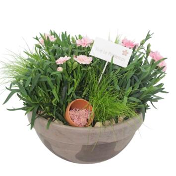 image COUPE TERRE EXT LIVE