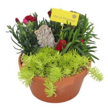 image COUPE TERRE EXT ERRA
