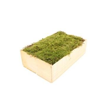 image MOUSSE PLATE CAISSE BOIS