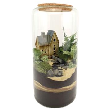 image TERRARIUM COLETTE 20