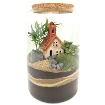 image TERRARIUM MARTINE 20