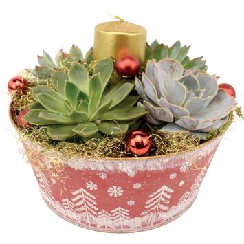 image ZINC CHRISTMAS 20