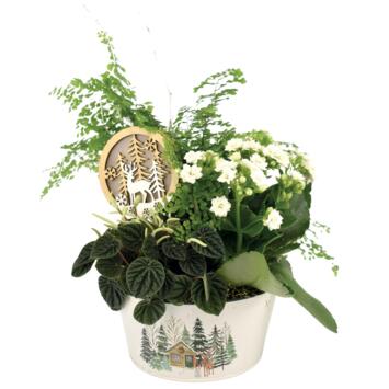 image ZINC MERINGUE 20