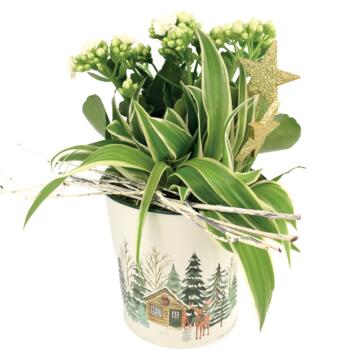 image ZINC PANETONNE 20