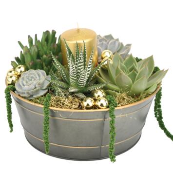 image ZINC REVEILLON 20