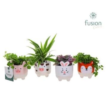 image PLANTES VERTES VARIEES CERAM ANIMAUX
