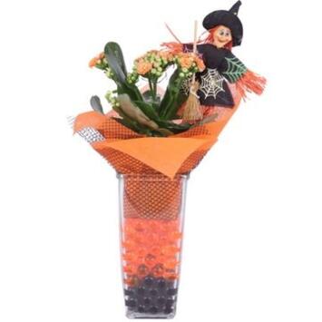 image KALANCHOE FL DBLE VERRE DECO HALLOWEEN