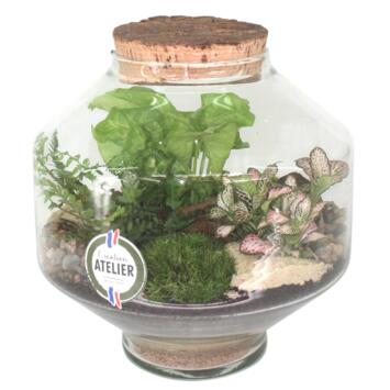image TERRARIUM EXAGONAL 20