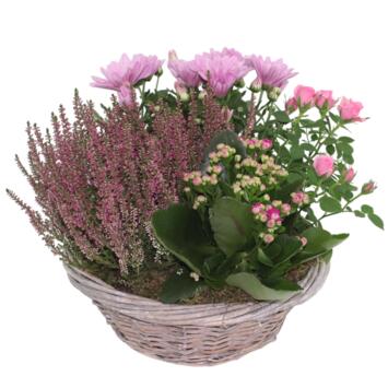 image VANNERIE PETITE CORBEILLE 20