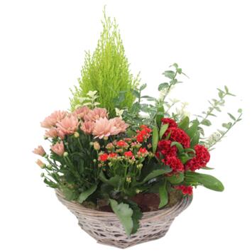image VANNERIE GRAND PANIER