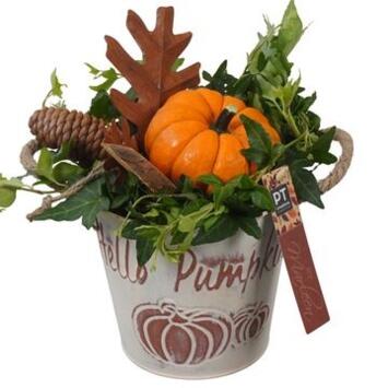 image COMPO CUCURBITACEE ZINC AUTOMNE