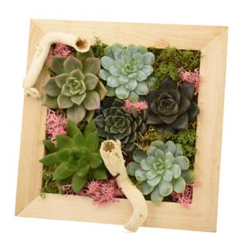 image TABLEAU EN BOIS 20