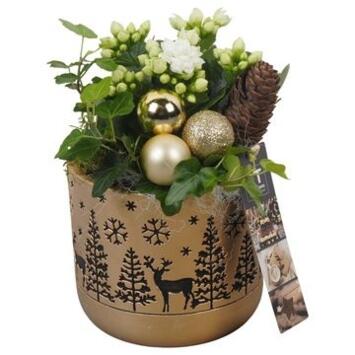 image COMPO 2 PLANTES CERAM NOEL