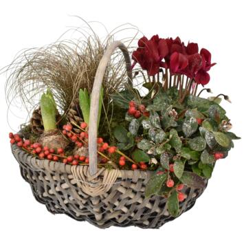 image VANNERIE RUDOLPH 20