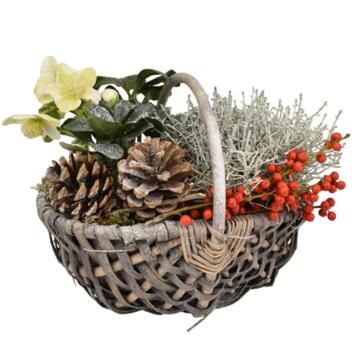 image VANNERIE GUI 20