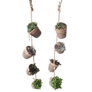 image PLANTE VERTE X4 JUTE SUSP