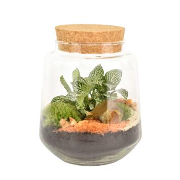 image TERRARIUM FELIX 20