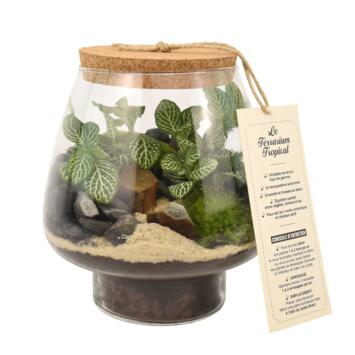 image TERRARIUM KEMPII 20