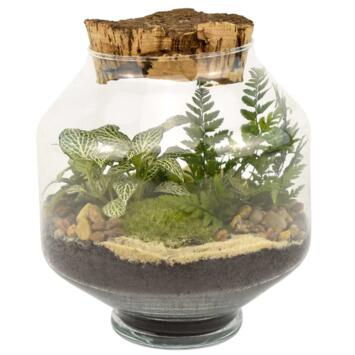 image TERRARIUM OPALE 20