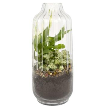 image VERRERIE STRIE 20