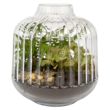 image VERRERIE PETITE STRIE 20