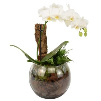 image VERRERIE AMOUR