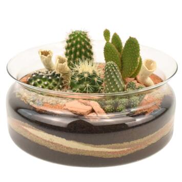 image VERRERIE ARABIE 20