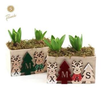 image JACINTHE X2 BOIS DECO NOEL