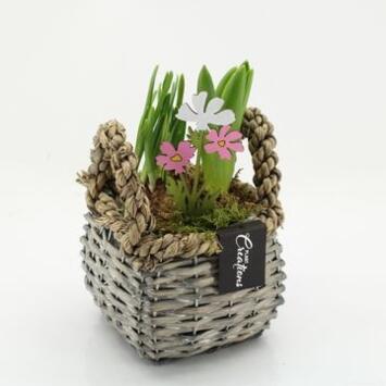 image BULBES VANNERIE