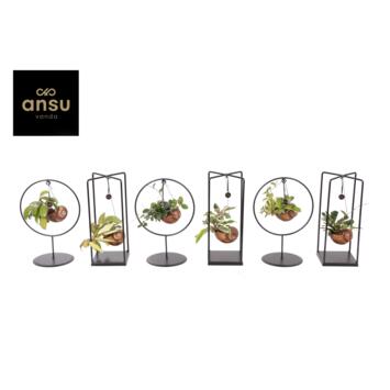 image HOYA ESCARGOT SUPPORT METAL