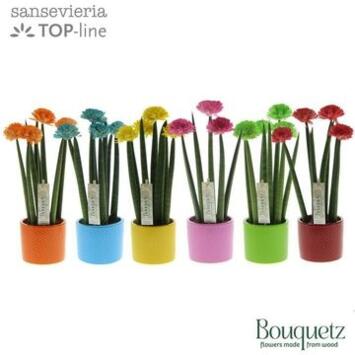 image SANSEVIERIA DECO FLEUR CERAM