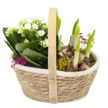 image VANNERIE MARGUERITE 20