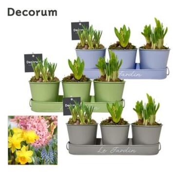 image BULBES VARIES ZINC