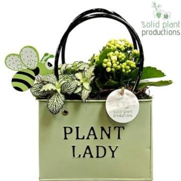 image COMPO 2 PLANTES SAC ZINC