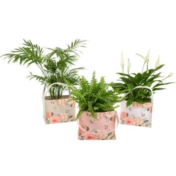image SAC FLOWER BAG 20