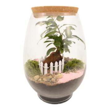 image TERRARIUM MARCELLA 20